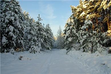 《光明记忆：无限》今日正式登陆主机端 售价78港币