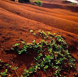 Epic万圣节特惠：最高享75%骇人特价 可用10美元优惠券